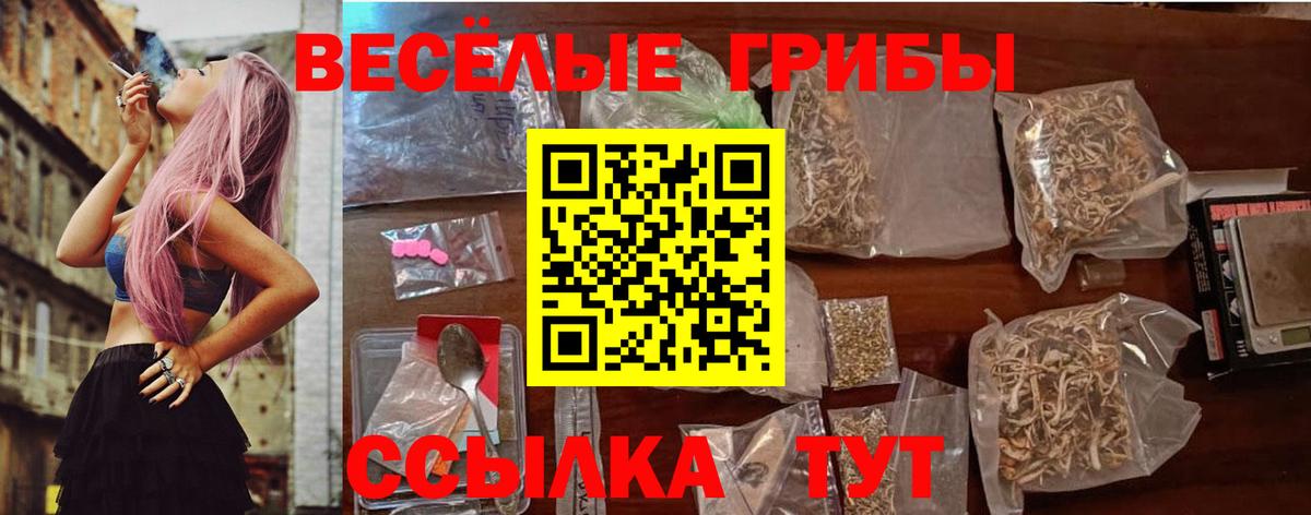 хочу наркоту  Галлюциногенные грибы ЛСД  Вход с VPN  Димитровград 