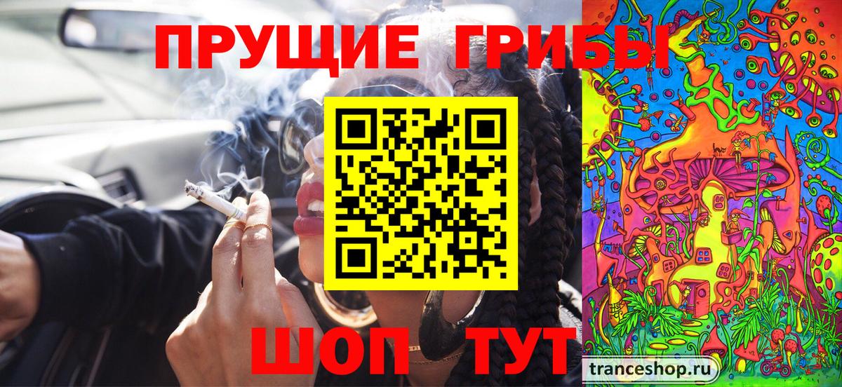 Галлюциногенные грибы Psilocybe Димитровград